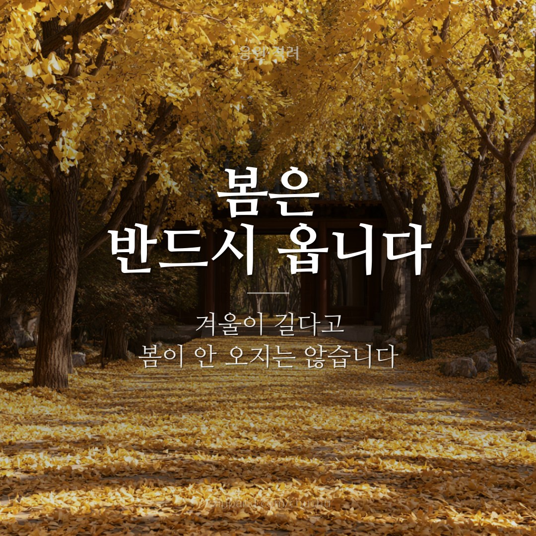 봄은 반드시 옵니다 희망 격려 이미지