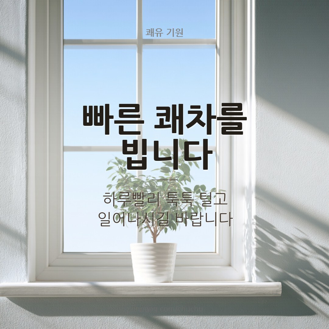 빠른 쾌차를 빕니다 쾌유 기원 이미지
