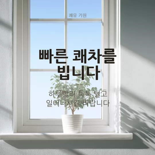 빠른 쾌차를 빕니다 쾌유 기원 이미지
