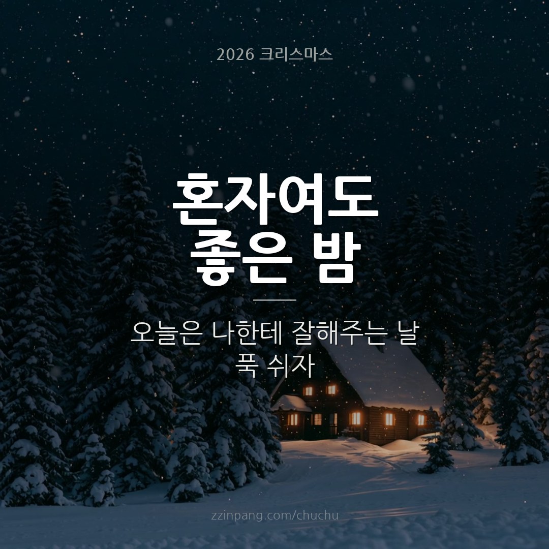 혼자 보내는 크리스마스 유머 이미지