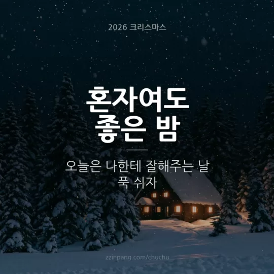 혼자 보내는 크리스마스 유머 이미지